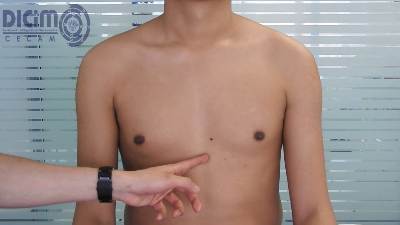 Auscultación de Área Precordial