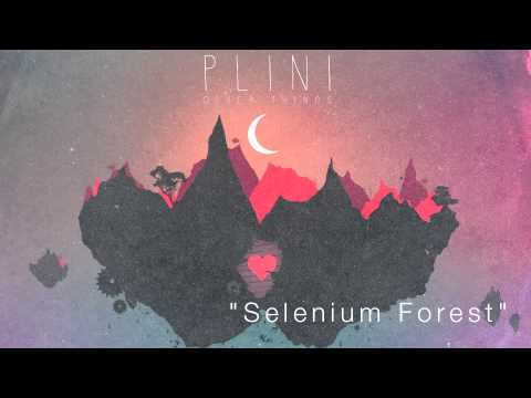 Plini - SELENIUM FOREST