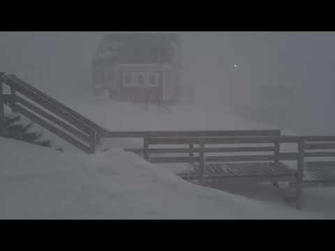 Kalaaleqatikka by JUAAKA