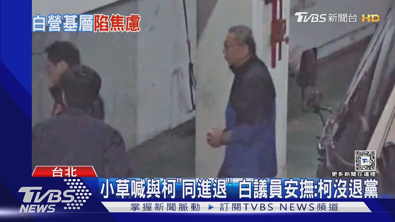 小草喊與柯「同進退」!白議員安撫:柯沒退黨