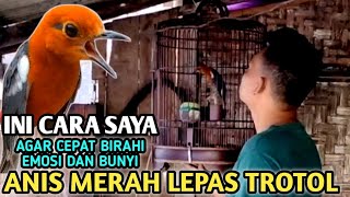 Download lagu KONDISIKAN SEPERTI INI, ANIS MERAH PASTOL HANYA NGRIWIK PASTI MULAI AKAN ADA PERKEMBANGAN mp3 Download lagu KONDISIKAN SEPERTI INI, ANIS MERAH PASTOL HANYA NGRIWIK PASTI MULAI AKAN ADA PERKEMBANGAN mp3