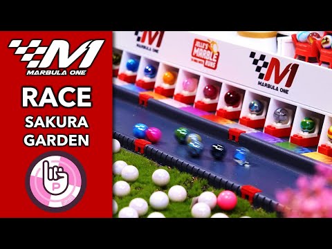 🏁 Marbula One S4 GP3 🏁 Sakura Garden RACE🌸 Jelle's Marble Runs