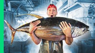 Filipino Seafood Tour! The Real King of Tuna in Mindanao!