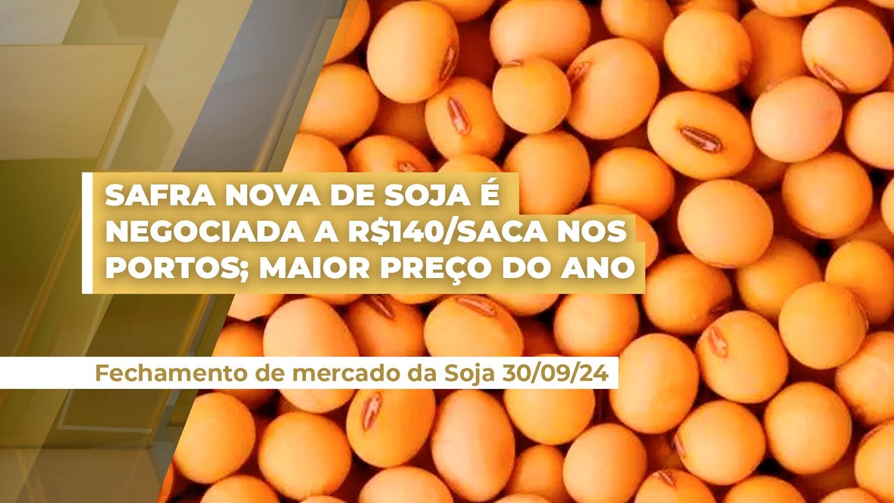 Soja da safra nova tem melhor nível de preços negociado até agora no Brasil e vendas avançam