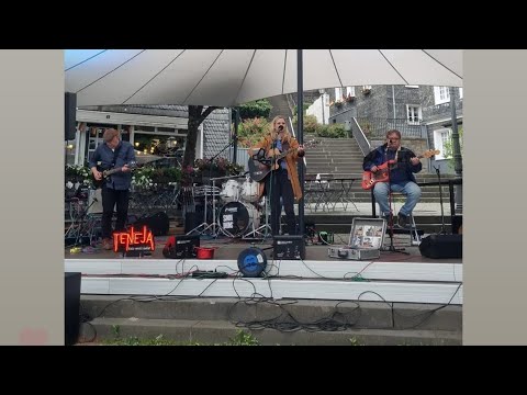 Teneja‘s Delight-Don‘t give up ( Kate Bush & Peter Gabriel) Cover