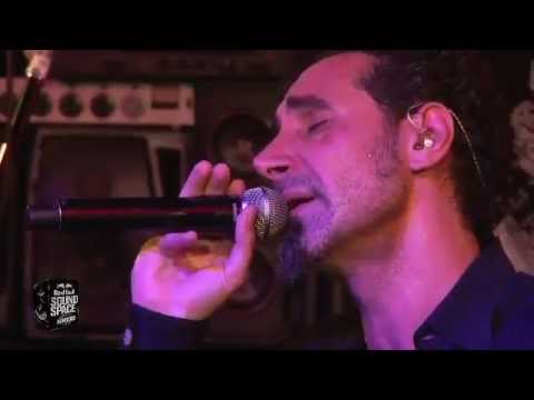 Serj Tankian - Cornucopia live