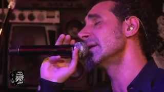 Serj Tankian - Cornucopia live