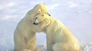 Todo es un misterio Francisco Cespedes