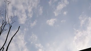 晴れですが風が強いので雨雲さんを・・
