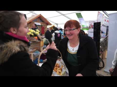 Sejem v Komendi - pomlad 2016/1