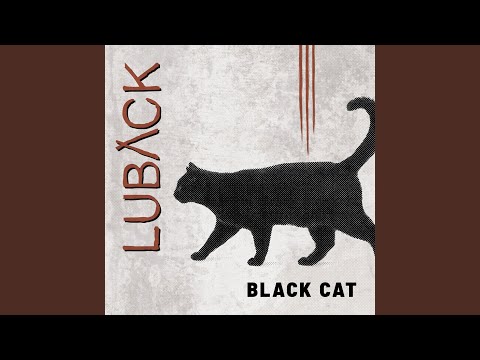 Black Cat