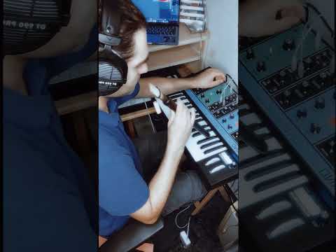 Duduk x Moog Grandmother Chillout Improvisation