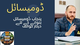 پنجاب ڈومیسائل بنوانے کے لیے تمام ضروری کوائف 2026