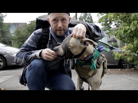 The CalmingCap helped my REACTIVE dog | vlog 02