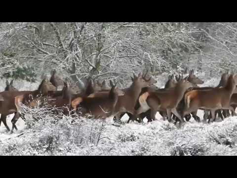 MEgional 2016 09 28 - Unsere Nachrichten für das Mittlere Erzgebirge