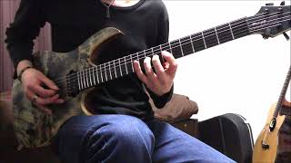 Insomnium - The Bitter End - [guitar cover]