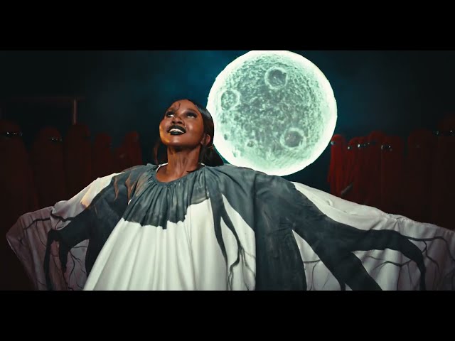 Antenna von Zuchu ((jetzt ansehen))