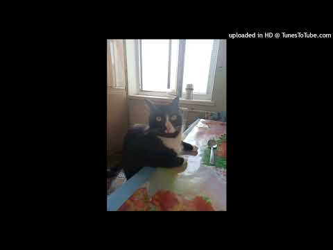 [FREE] BIG BABY TAPE X KIZARU X BABY MELO TYPE BEAT - «NO DIDDY»