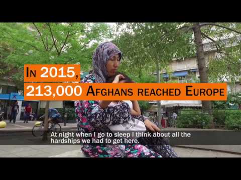 Social Media Gallery