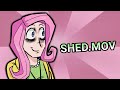 SHED MOV But They Are Humans