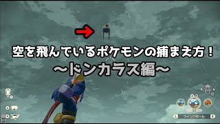 【ポケモンレジェンドアルセウス】空を飛んでいるドンカラスの捕まえ方！！ Pokémon LEGENDS アルセウス
