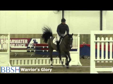 The British Stallion Event 2015 - Show Jumping Stallions