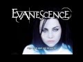 Evanescence - The Last Song I'm Wasting On You ...