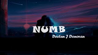 Declan J Donovan  - Numb ( Lyrics )  | John  Ghosh