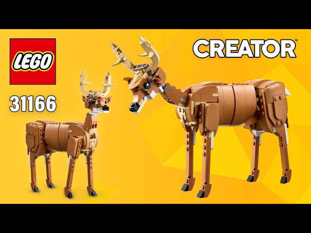 Vídeo relacionado con LEGO Creator 3 en 1 Caballo Noble de Juguete - Set con Animables Transformables en Oso o en Figura Articulada de Ciervo - Regalo para Niñas y Niños de 9+ Años - Decoración del Dormitorio 31166