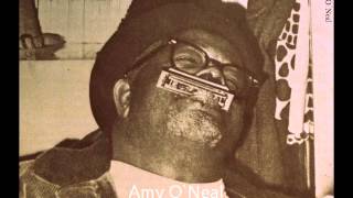 Solo Blues Harmonica Player 20 - Hammie Nixon - Viola Lee Blues