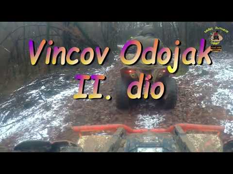 423.DEČKI ŽUTNICE -  Vincov odojak II  dio