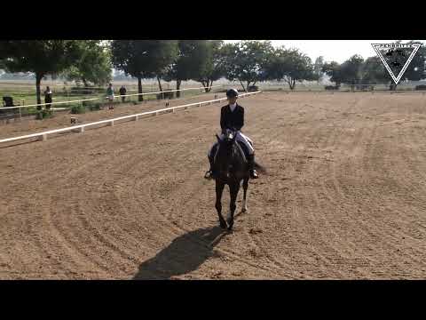 Dressage, Chelka Smith, Deva