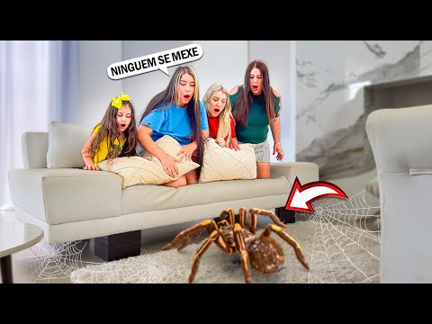 UMA ARANHA GIGANTE APARECEU NA SALA E QUASE PICOU A GENTE ! 