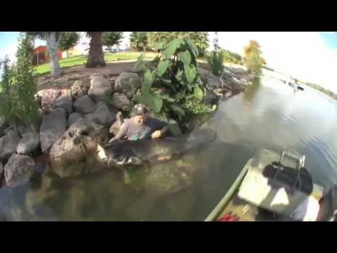 catfishing and clonking in spain