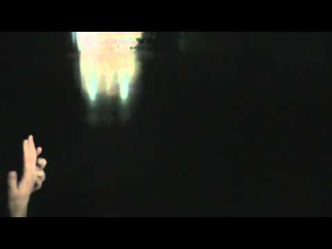 Oplopen KOAG B1 - Trekvogels B1