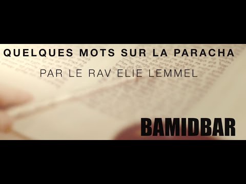 À chacun son drapeau... Rav Elie Lemmel - Paracha Bamidbar