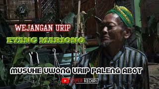 Download lagu MUSUHE UWONG PALING ABOT? | EYANG MARIONO mp3 Download lagu MUSUHE UWONG PALING ABOT? | EYANG MARIONO mp3