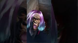 Josh GrobAn - You Raise Me Up