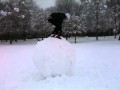 My name is johnny noxville, welcome to Jackass ...