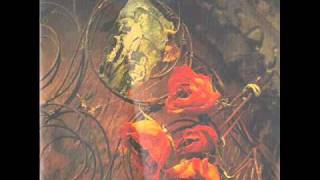 Chaos Is The Poetry - Dumb It Down