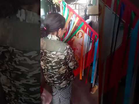 Folia de São Sebastião. Tradição do Tocantins.