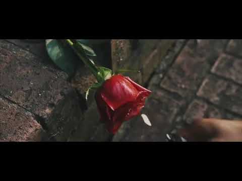 IBRANOVSKI & VLADO - COUNT ME IN