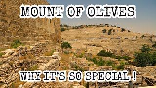 Video: Mount of Olives - HolyLandSite