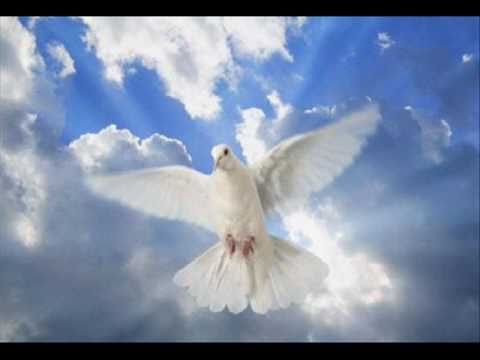 Mr.Camaleon (Feat) Leugim & Dj Centinela - Amiga en el Cielo