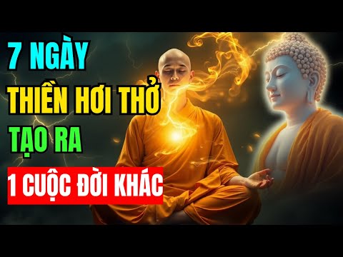 Cách Thực Hành Thiền Hơi Thở Ngay Trong Đời Sống Thường Ngày