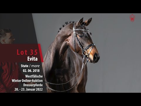 Winter Online-Auktion Lot 35 Evita Stute v. Emilio - Rotspon
