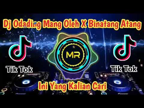 Dj Odading Mang Oleh X Binatang Atang Atang Remik Tik Tok Terbaru 2021
