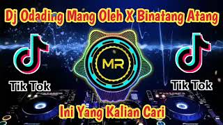 Download lagu Dj Odading Mang Oleh X Binatang Atang Atang Remik ... mp3