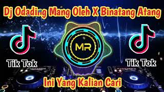 Download lagu Dj Odading Mang Oleh X Binatang Atang Atang Remik Tik Tok Terbaru 2021 mp3 Download lagu Dj Odading Mang Oleh X Binatang Atang Atang Remik Tik Tok Terbaru 2021 mp3