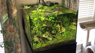 Planting and Finishing Up the 43 Gallon